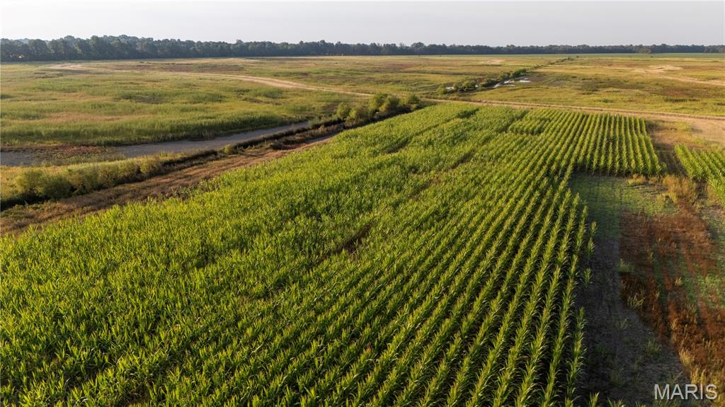 0 Highway P New Madrid Mo 63869 East Prairie, MO 63845 - Photo 5 of 17