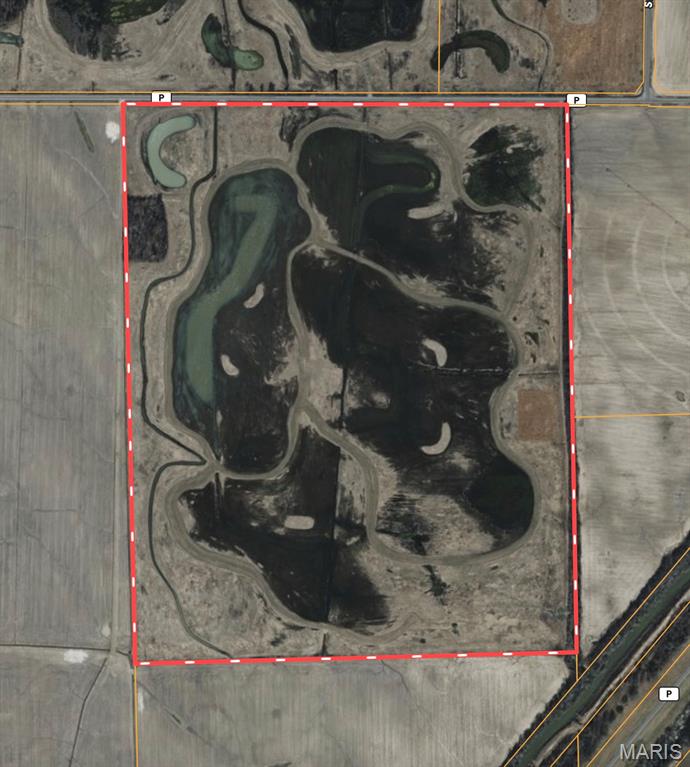 0 Highway P New Madrid Mo 63869 East Prairie, MO 63845 - Photo 6 of 17