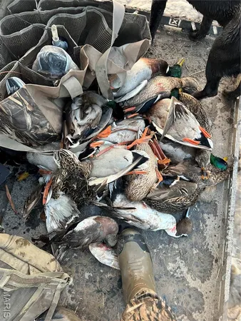 $2,268,200 | 0 Highway P New Madrid Mo 63869, East Prairie, MO 63845