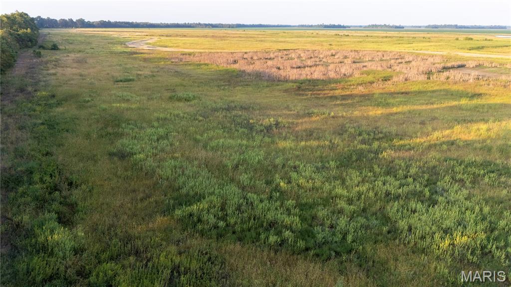 0 Highway P New Madrid Mo 63869 East Prairie, MO 63845 - Photo 8 of 17