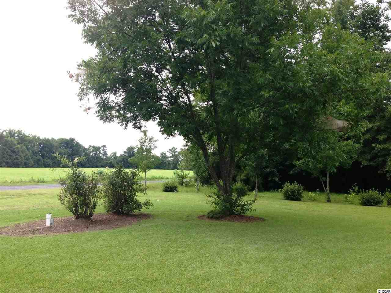 1071 Busy Corner Road Conway, SC 29527 - Photo 10 of 15 Gallery Image 10