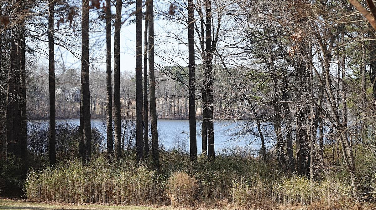 Instantly draws you to view of the lake.