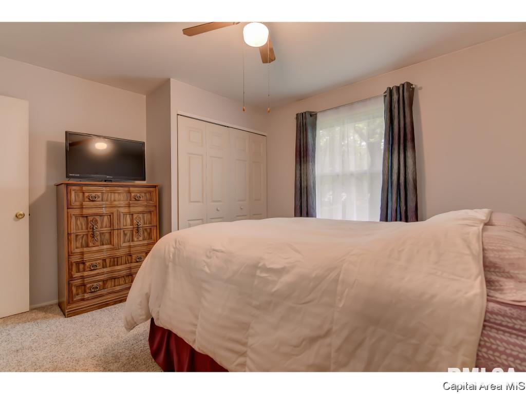 305 Parkview Drive Rochester, IL 62563 - Photo 16 of 25 Gallery Image 16