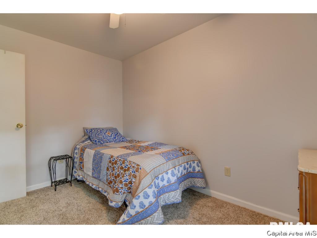 305 Parkview Drive Rochester, IL 62563 - Photo 18 of 25 Gallery Image 18