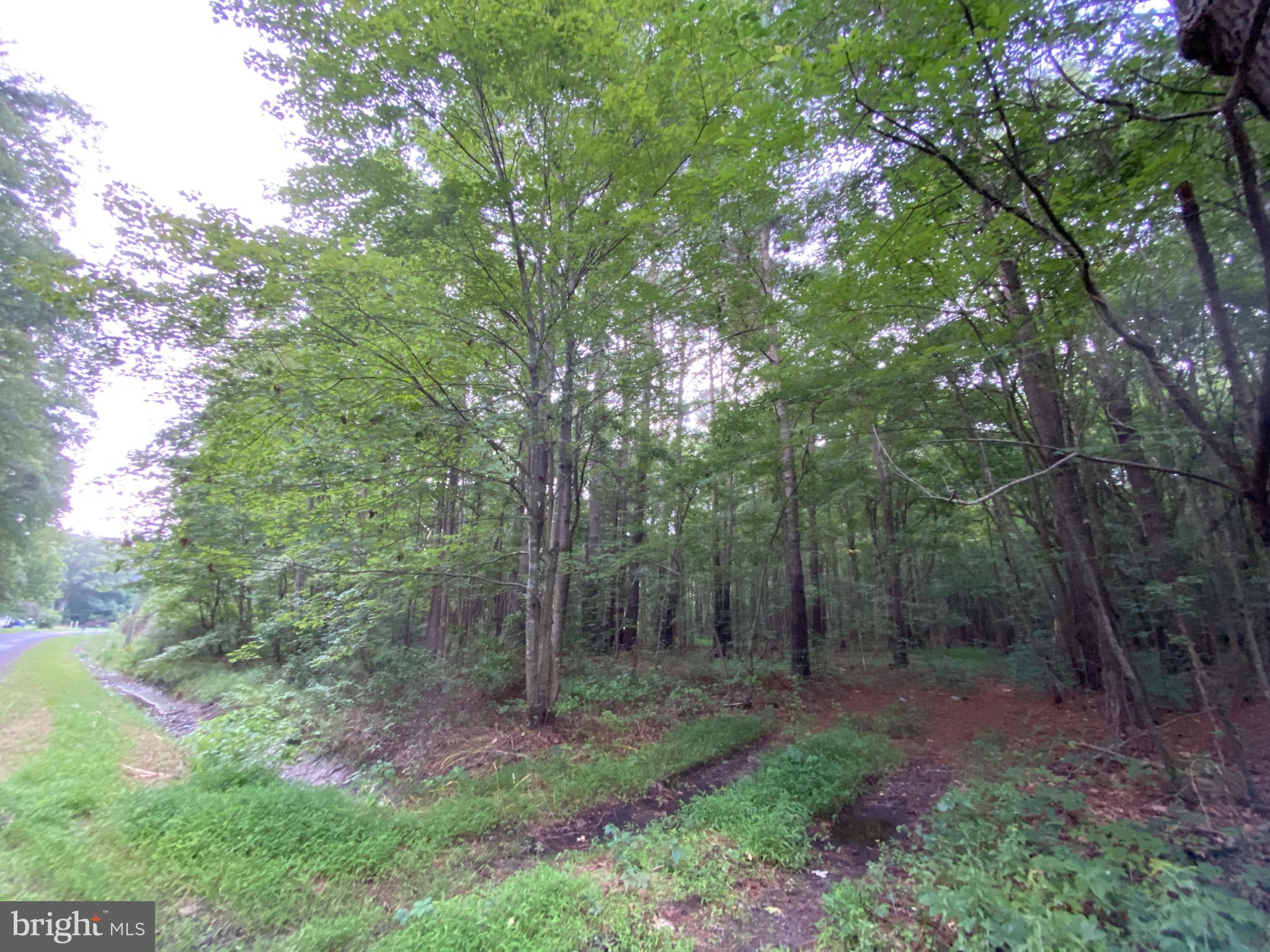 58 Drawbridge Road Princess Anne, MD 21853 - Photo 1 of 5