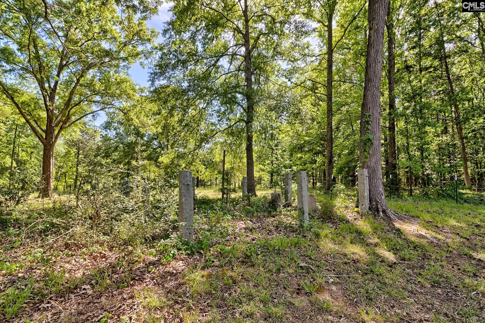 331 State Rd S-36-107 Pomaria, SC 29126 - Photo 13 of 40