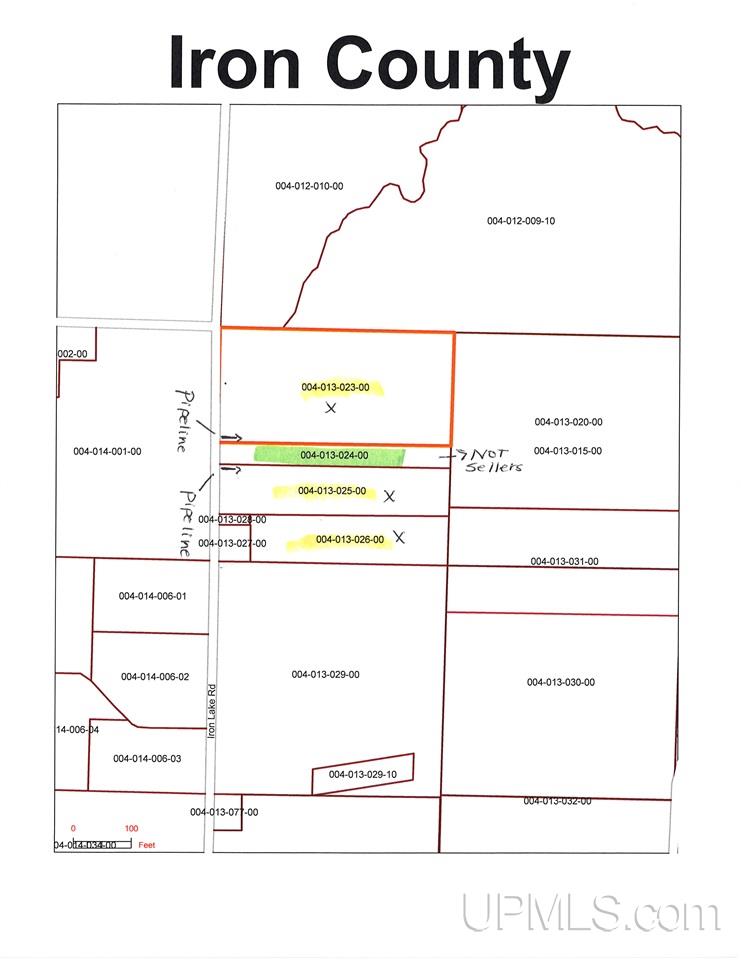 1810 Iron Lake Road Iron River, MI 49935 - Photo 30 of 32