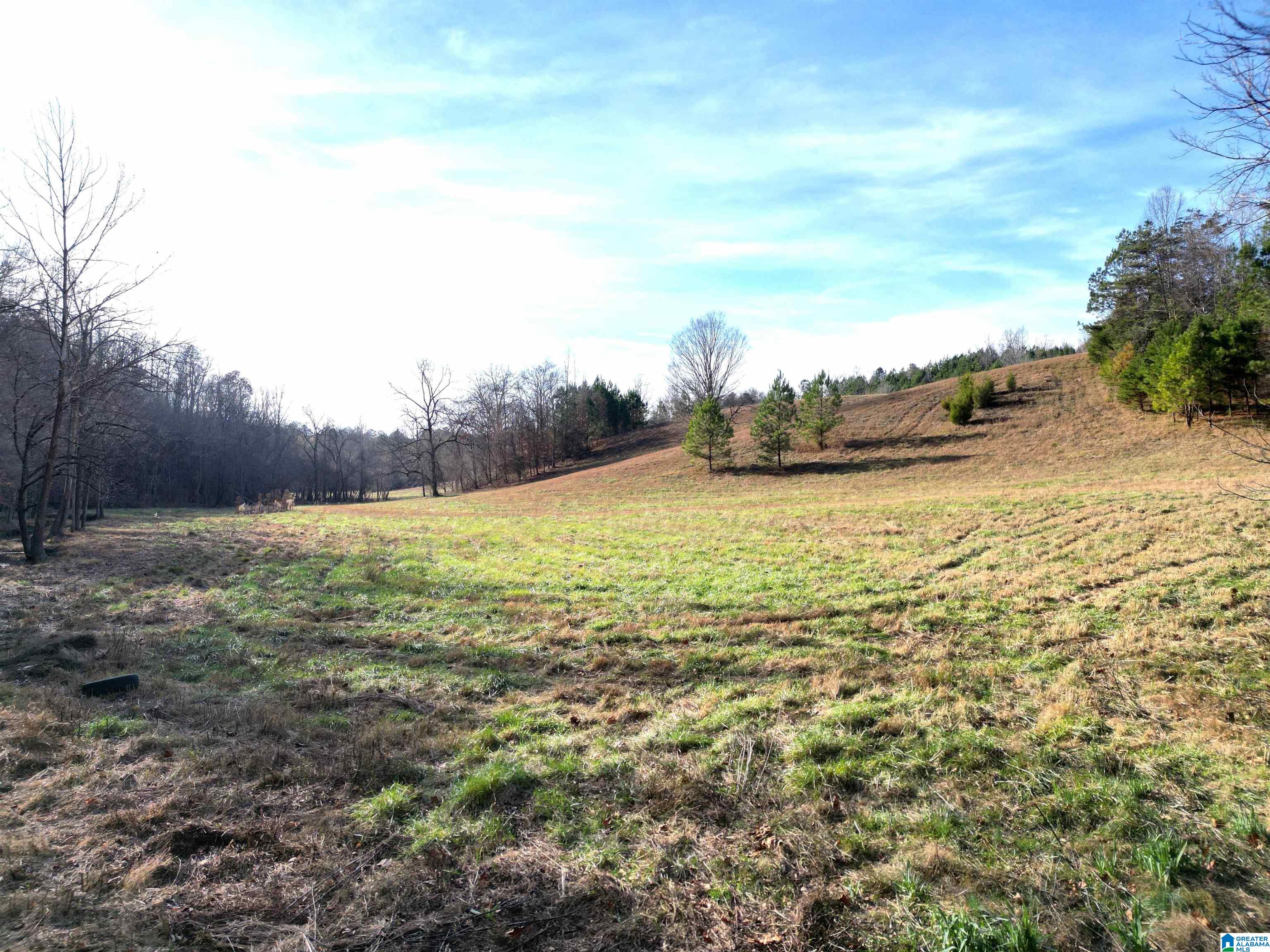 600 Earl Roberts Road, Unit 35 Anniston, AL 36207 - Photo 31 of 59 Gallery Image 31