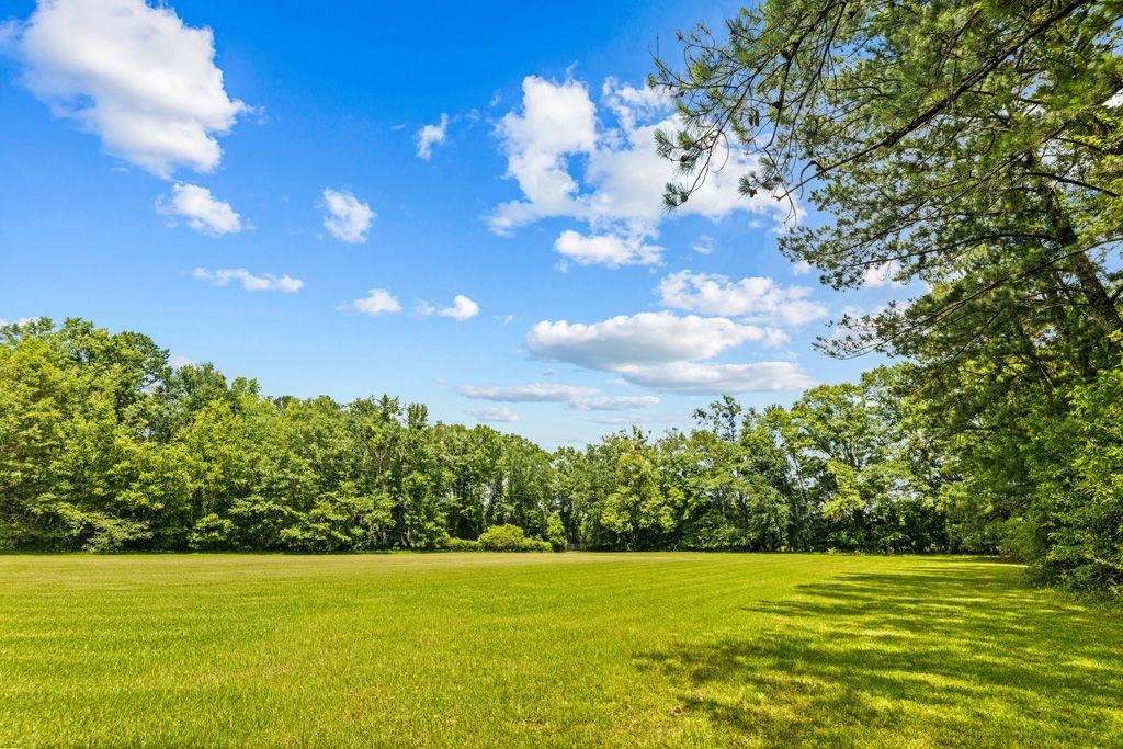 541 Watson Road Quincy, FL 32351 - Photo 6 of 42