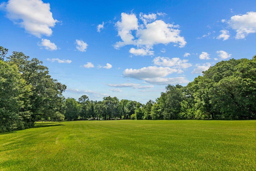 541 Watson Road Quincy, FL 32351 - Photo 7 of 42