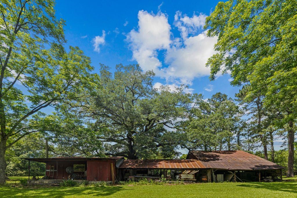 541 Watson Road Quincy, FL 32351 - Photo 8 of 42