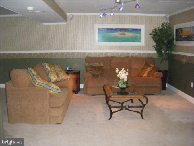 4732 Wilkerson Road Brandywine, MD 20613 - Photo 12 of 18 Basement #2