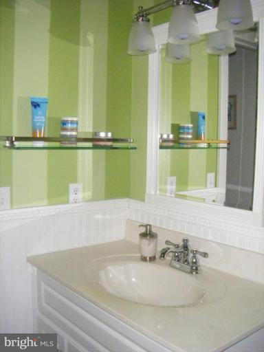 4732 Wilkerson Road Brandywine, MD 20613 - Photo 7 of 18 Master Bath #2