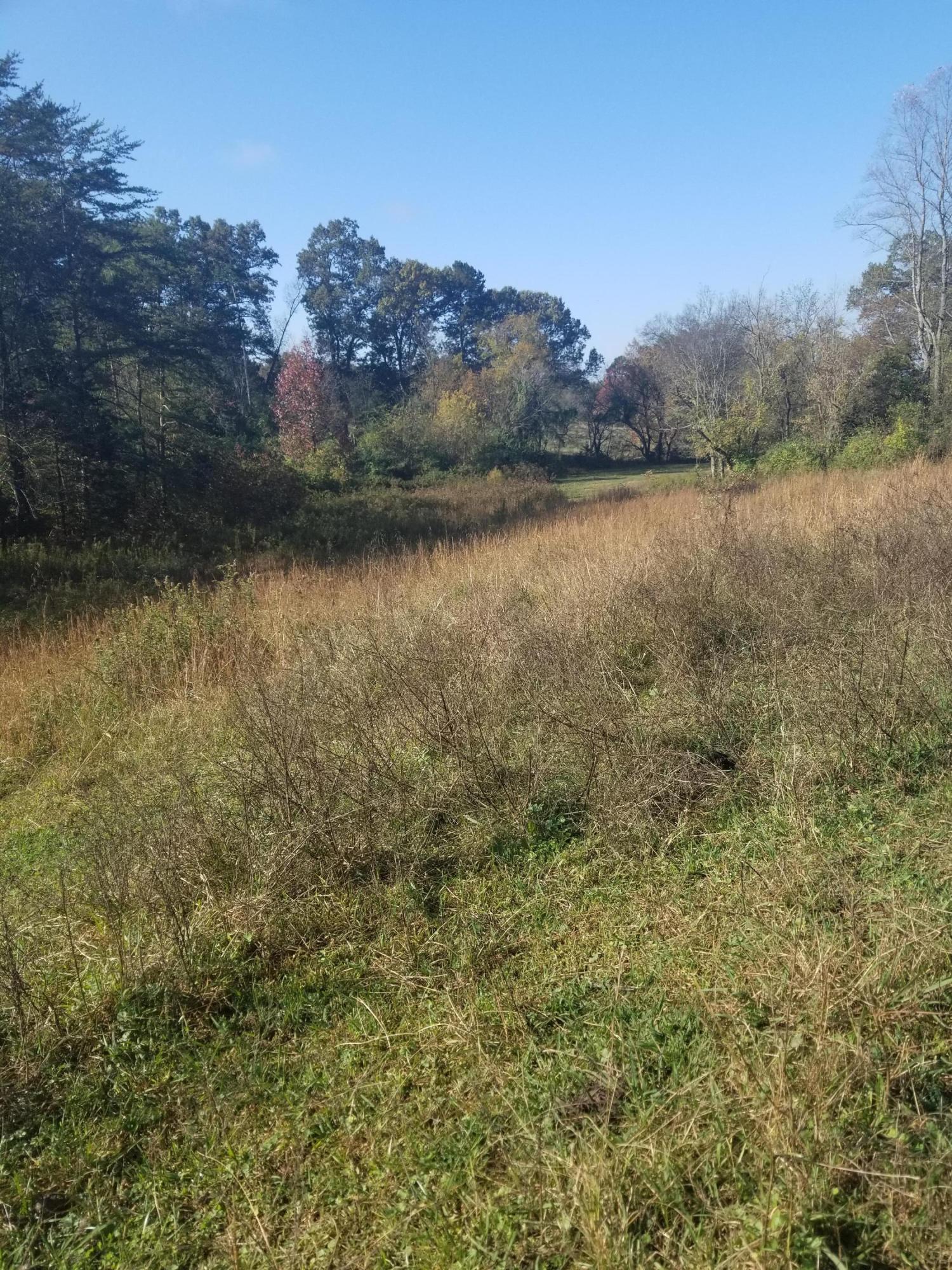 9700 Smoky Row Road Strawberry Plains, TN 37871 - Photo 3 of 11 20201027_104000