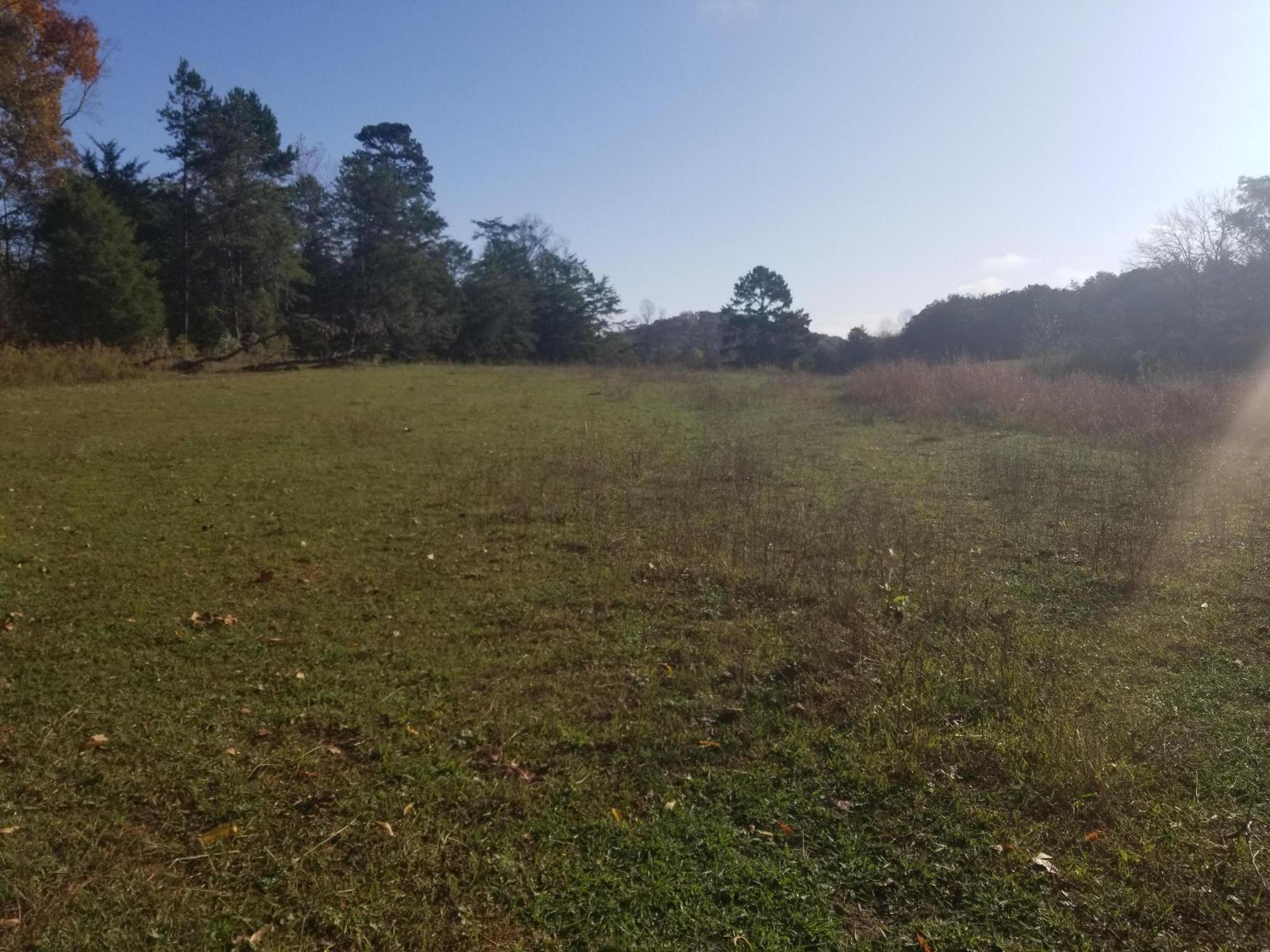 9700 Smoky Row Road Strawberry Plains, TN 37871 - Photo 8 of 11 20201027_100055