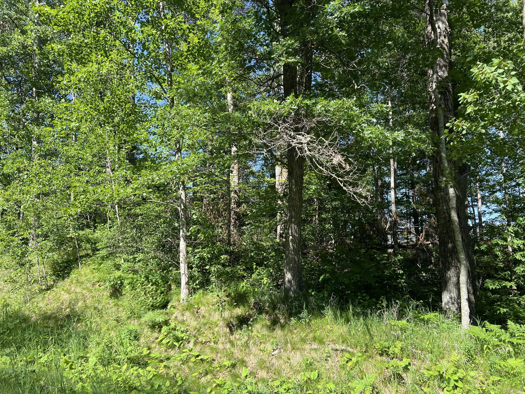 Lot 8 Terminal Road Breezy Point, MN 56472 - Photo 8 of 14
