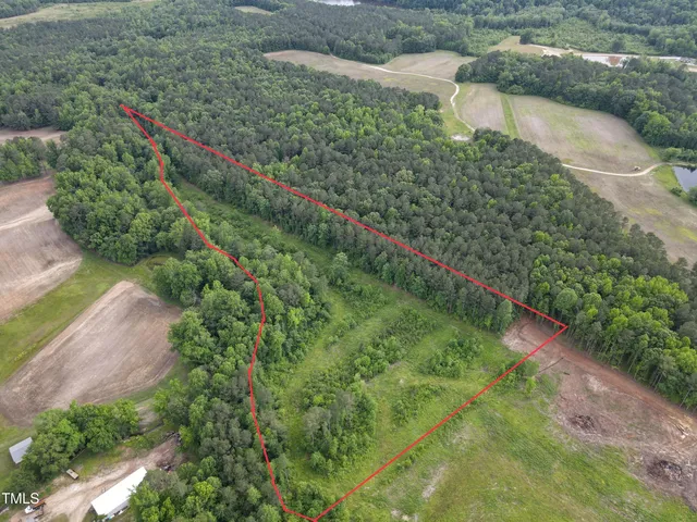 a view of a lush green forest
