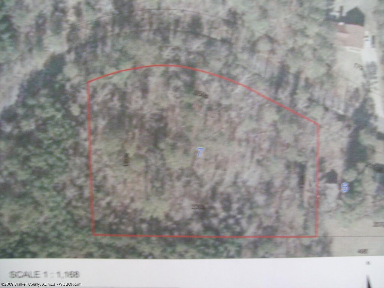 North Gamble Road Jasper, AL 35503 - Photo 4 of 5 Gallery Image 4