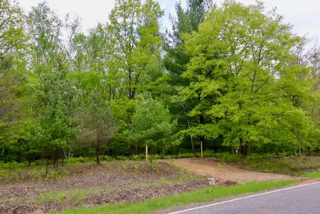 $120,000 | V/l East Levely Road, Rhodes, MI 48652