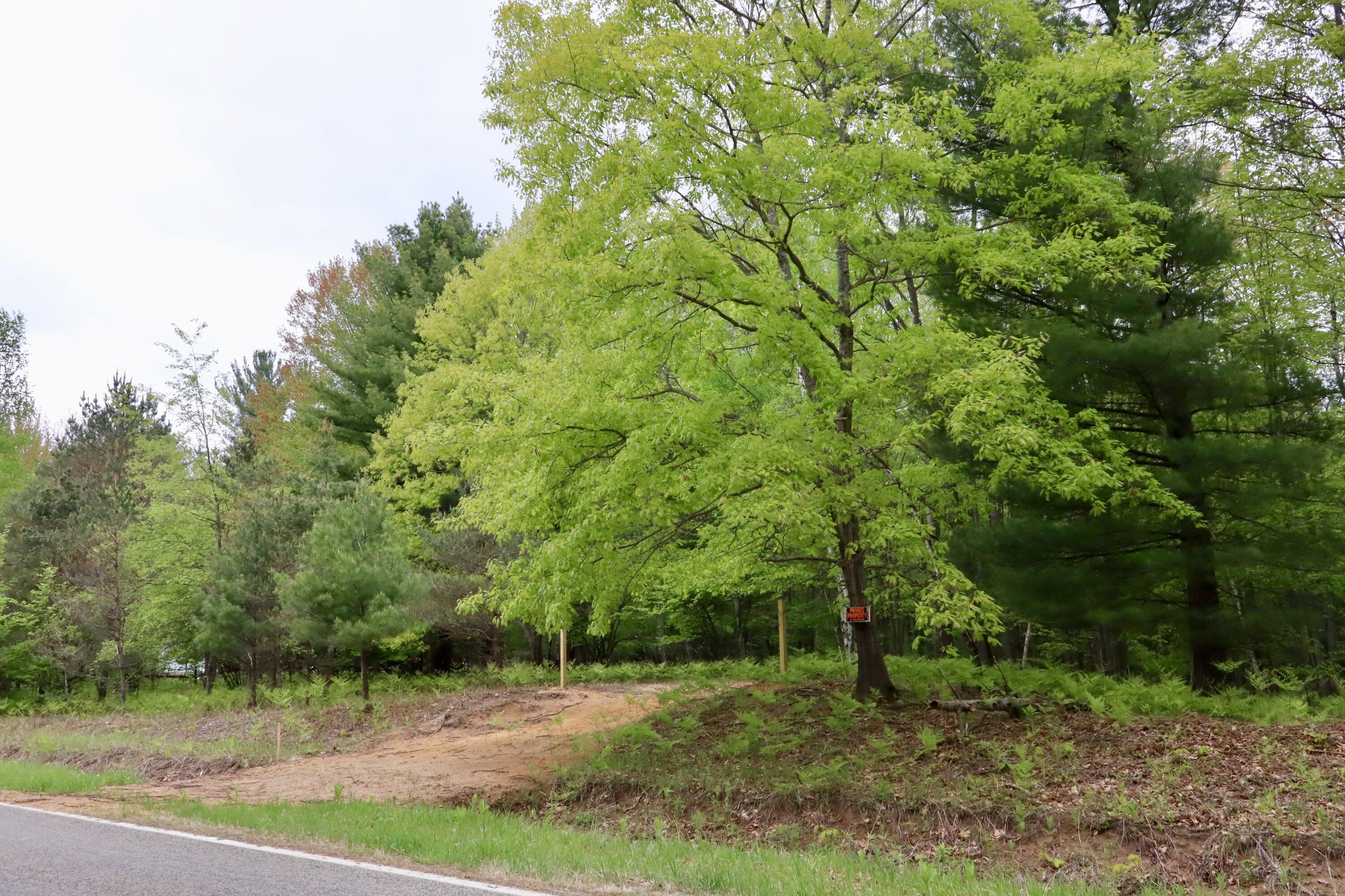 V/l East Levely Road Rhodes, MI 48652 - Photo 11 of 18 009