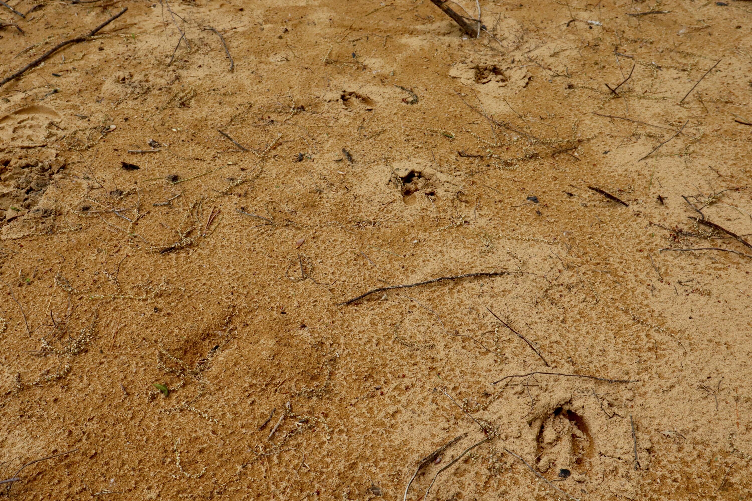 V/l East Levely Road Rhodes, MI 48652 - Photo 13 of 18 011