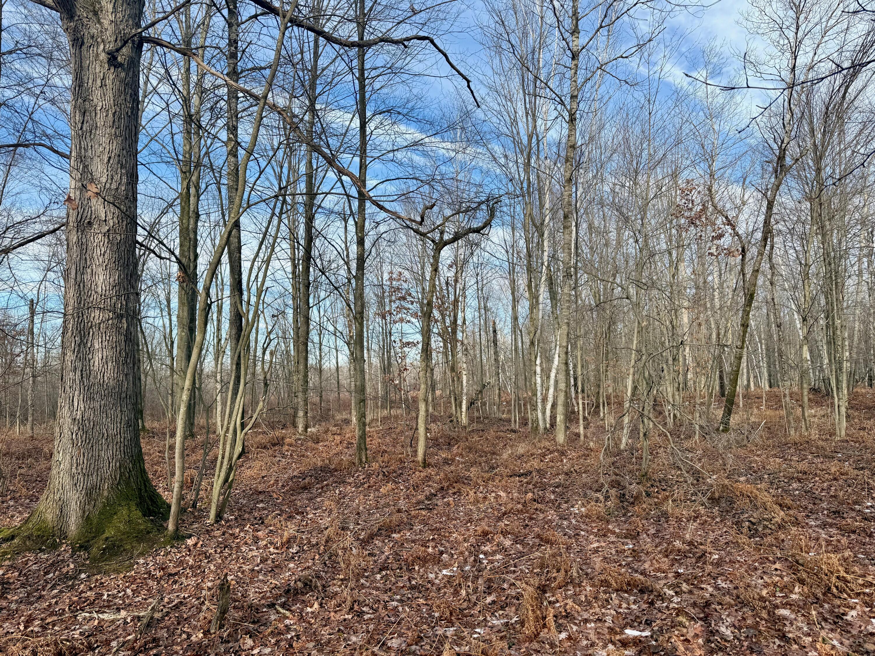 V/l East Levely Road Rhodes, MI 48652 - Photo 15 of 18 013