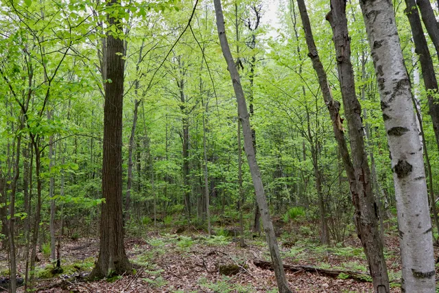 $120,000 | V/l East Levely Road, Rhodes, MI 48652