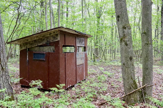 $120,000 | V/l East Levely Road, Rhodes, MI 48652