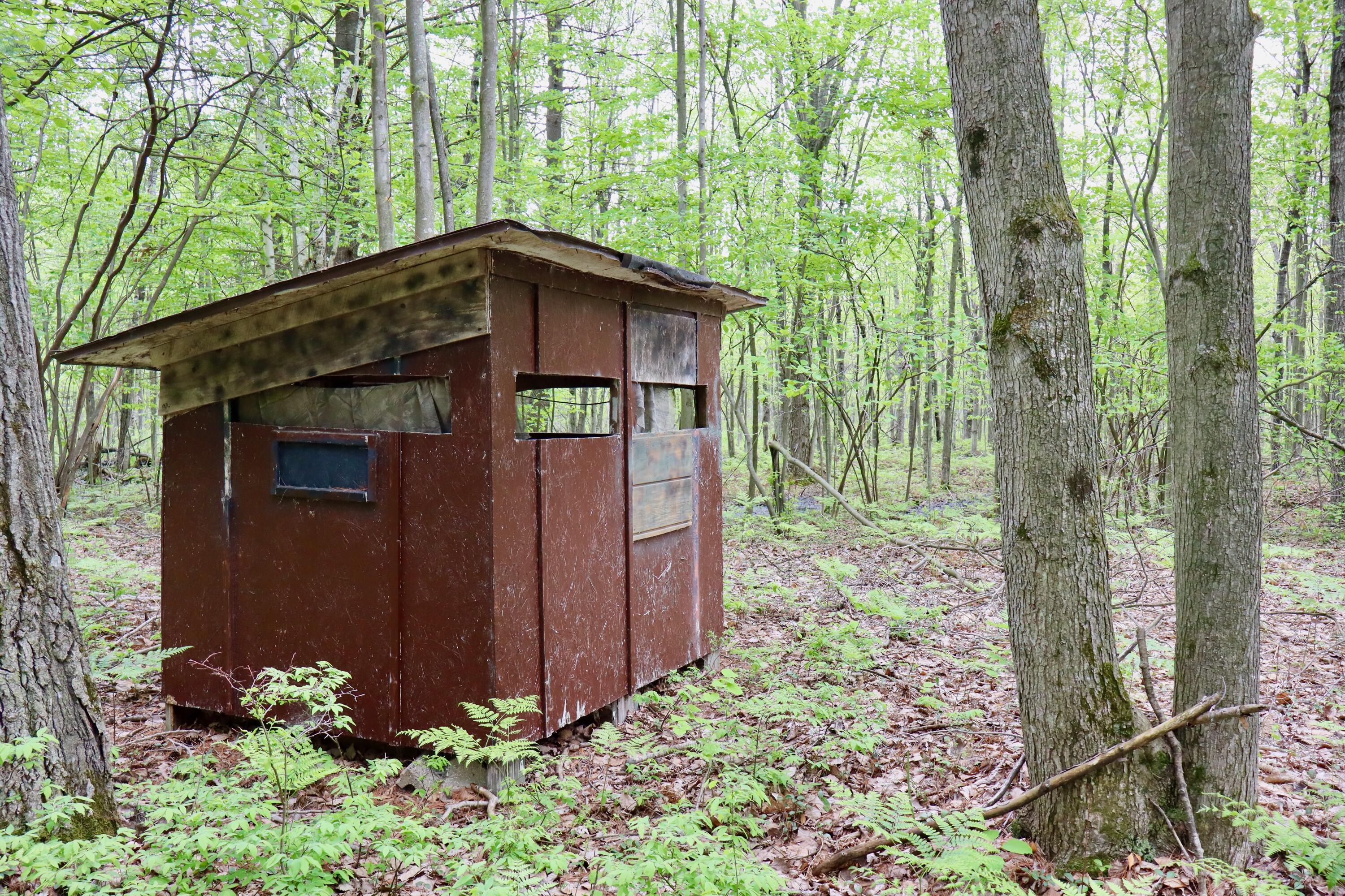 V/l East Levely Road Rhodes, MI 48652 - Photo 4 of 18 004