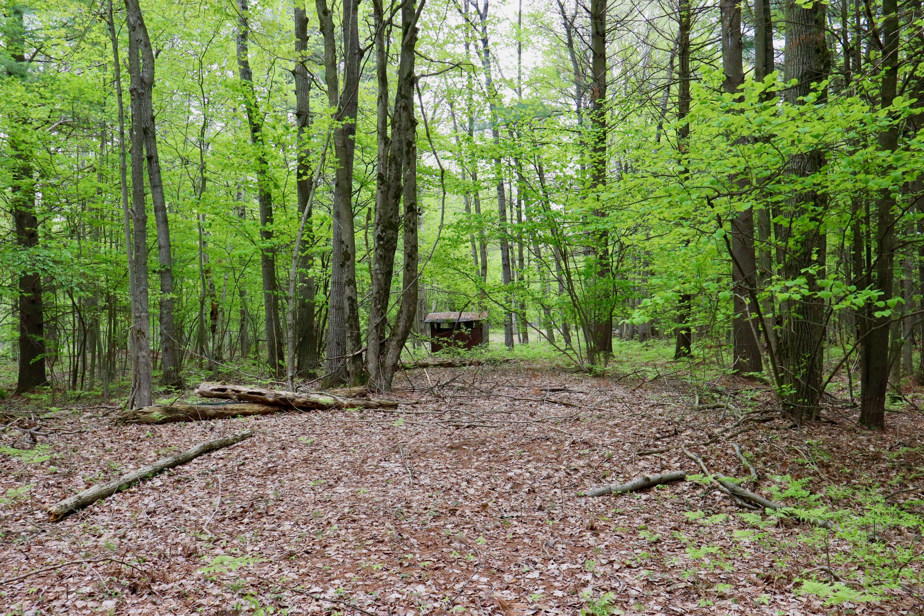 V/l East Levely Road Rhodes, MI 48652 - Photo 6 of 18 006