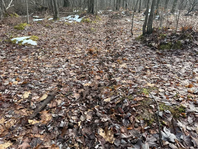 $120,000 | V/l East Levely Road, Rhodes, MI 48652