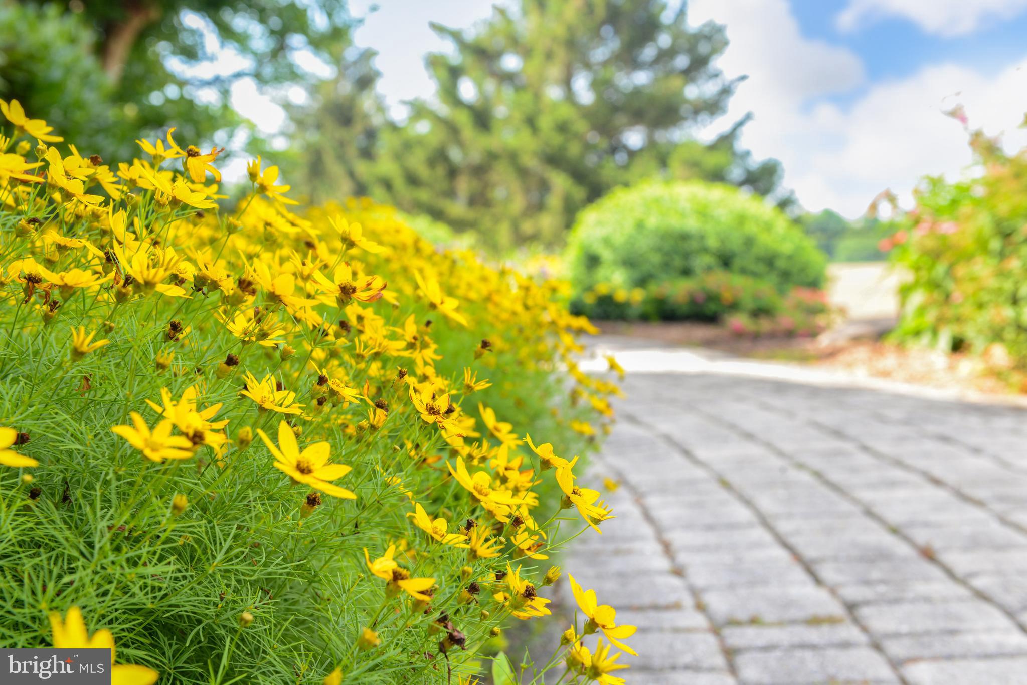 3356 Point Of Rocks Road Jefferson, MD 21755 - Photo 87 of 94