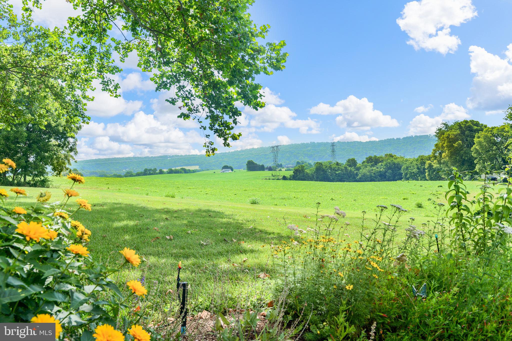 3356 Point Of Rocks Road Jefferson, MD 21755 - Photo 90 of 94