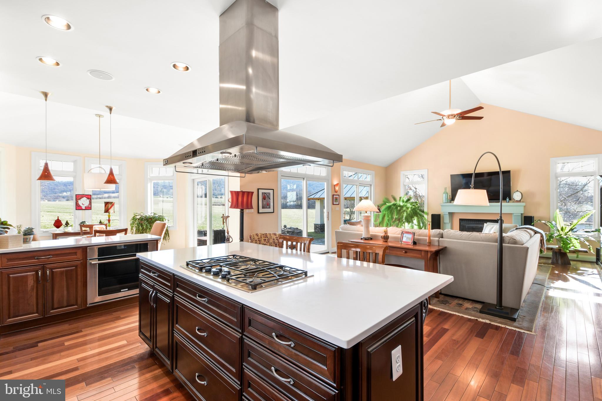 3356 Point Of Rocks Road Jefferson, MD 21755 - Photo 9 of 94 Custom Kitchen