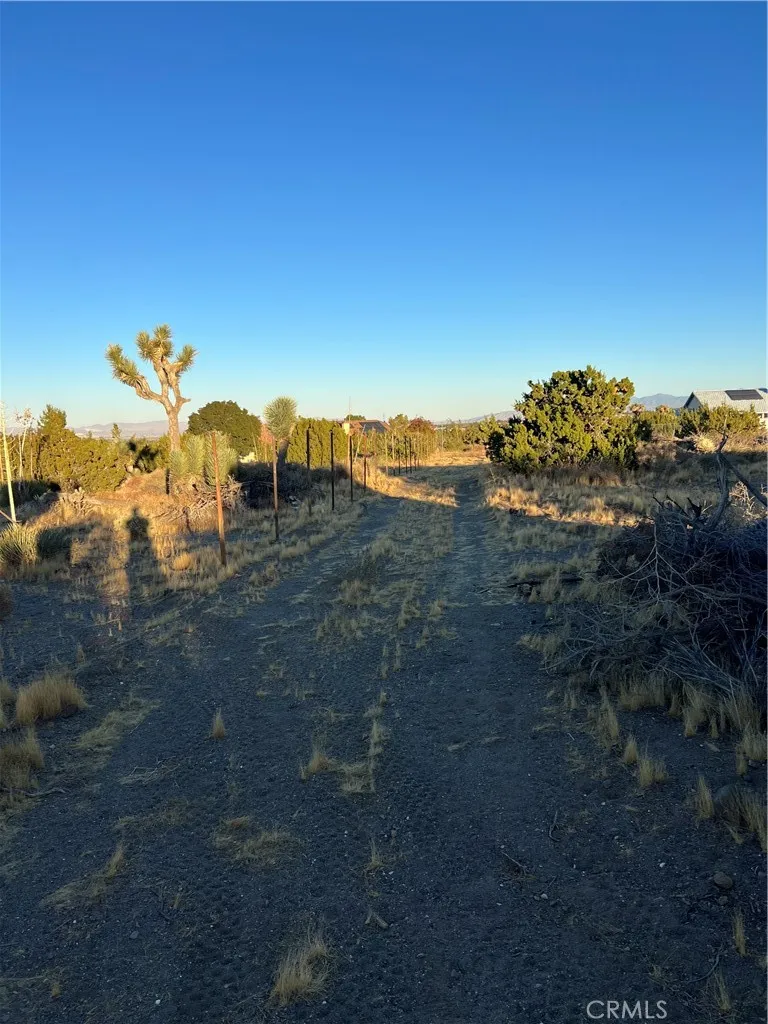 0 Elsinore Road Pinon Hills, CA 92372 - Photo 2 of 7 a view of a dry yard with wooden fence