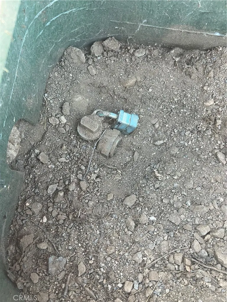 0 Elsinore Road Pinon Hills, CA 92372 - Photo 3 of 7 a close up of a plant in a yard