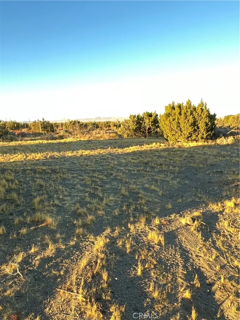 0 Elsinore Road Pinon Hills, CA 92372 - Photo 7 of 7 a view of an ocean