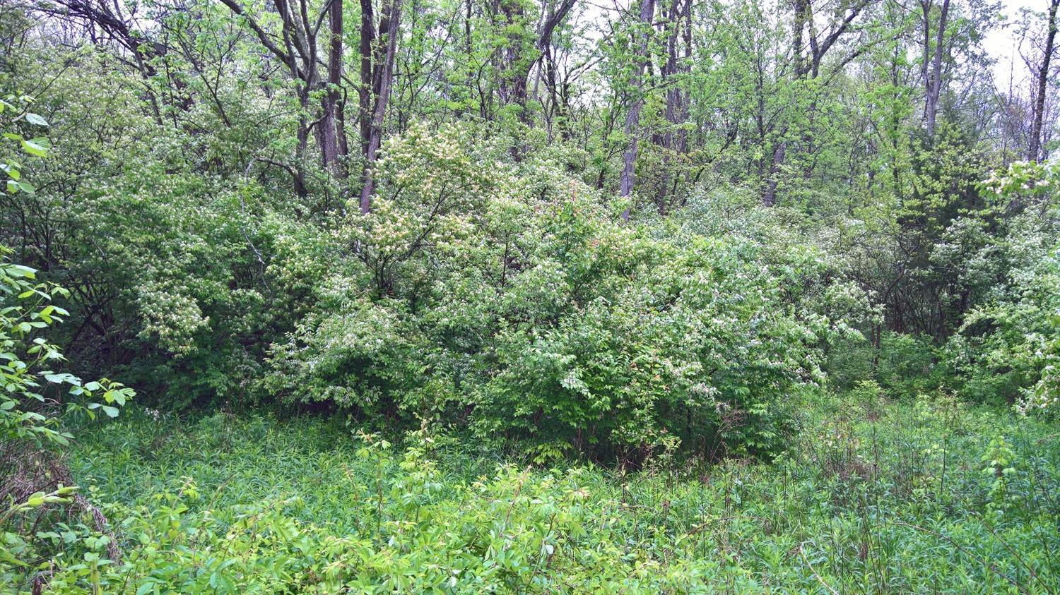 Lot Mullen Mullen Road Cincinnati, OH 45247 - Photo 1 of 1