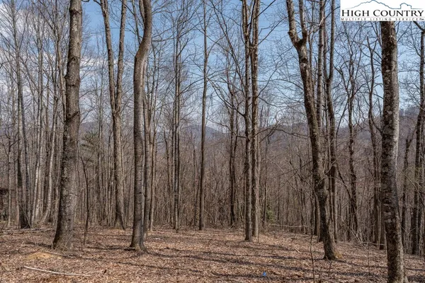 $89,500 | Grande Oaks Drive, Todd, NC 28684