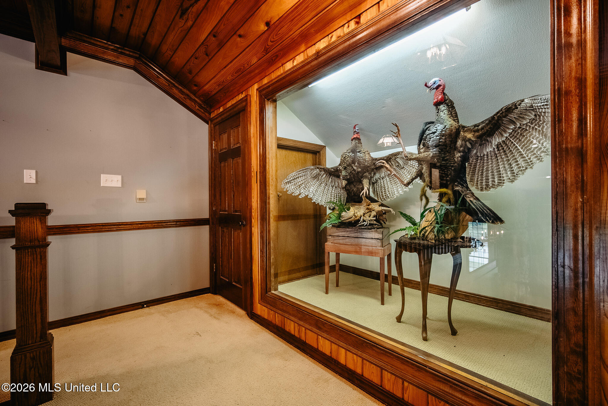 2139 Warren Hood Road Hermanville, MS 39086 - Photo 49 of 115 Display Case