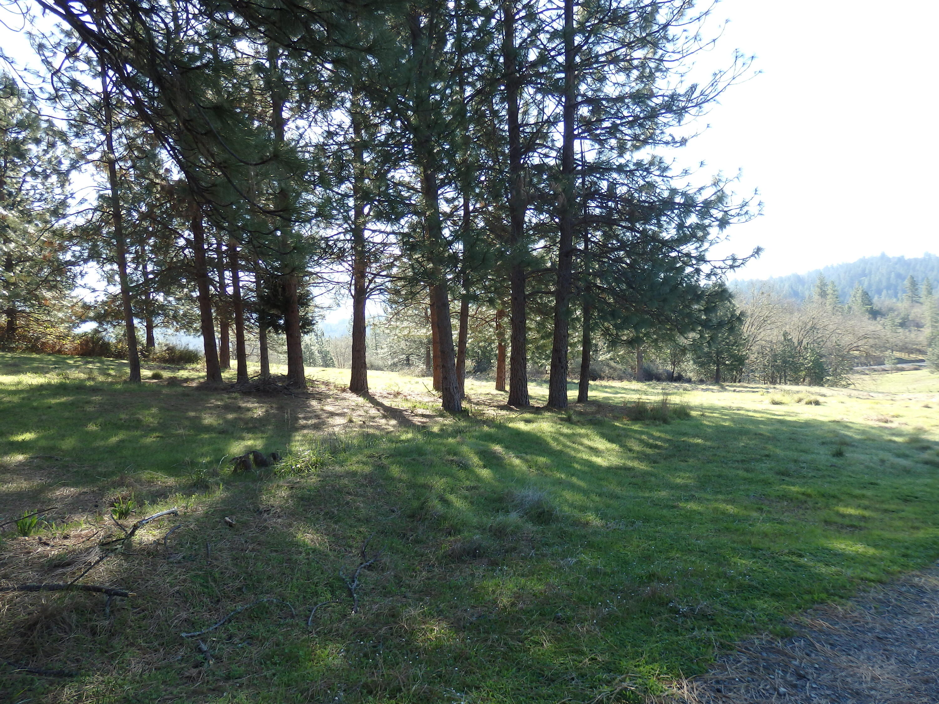 5872 Tunnel Loop Road Grants Pass, OR 97526 - Photo 16 of 16 View 1