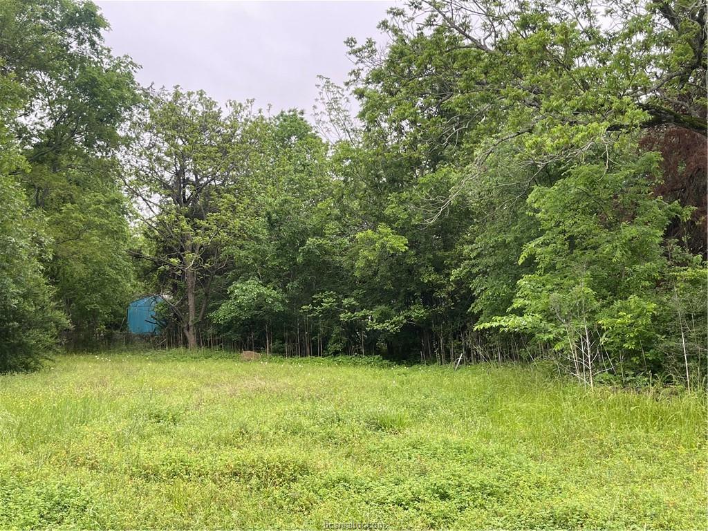 1403 Tisdale Street Bryan, TX 77808 - Photo 5 of 6 a view of outdoor space with deck and yard