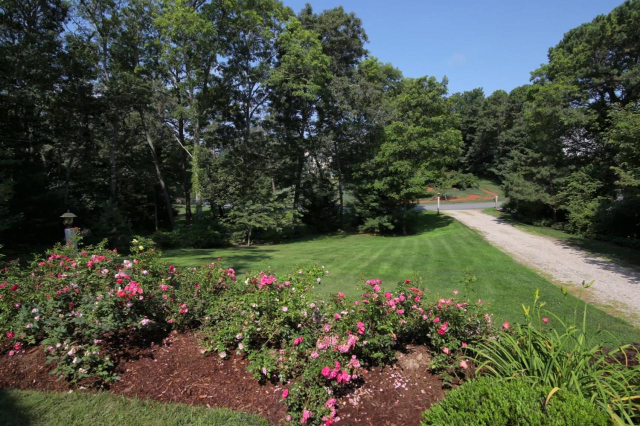 11 Harbor Ridge Road Mashpee, MA 02649 - Photo 5 of 33 a view of a flower in a garden