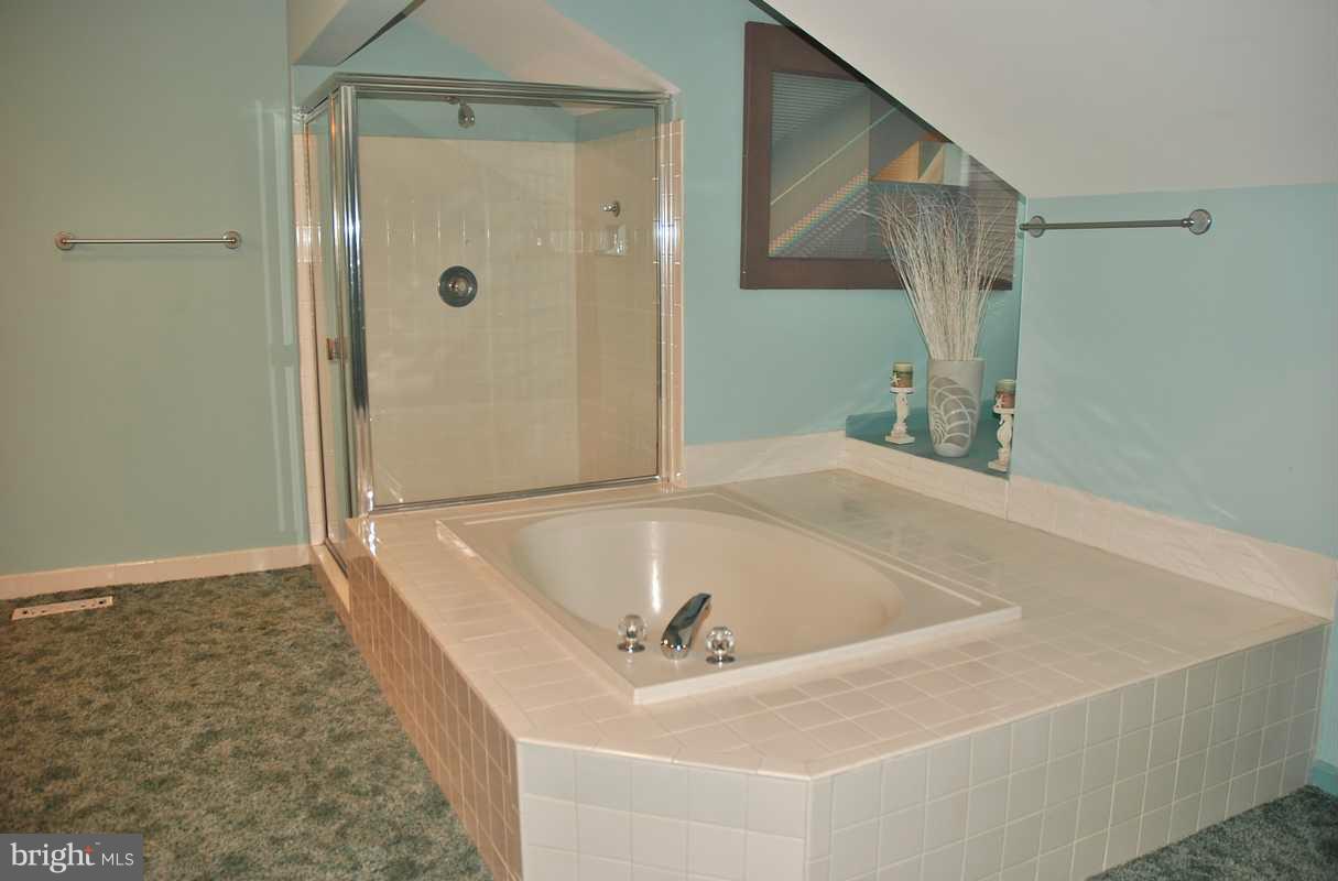 36 Dawn View Court Silver Spring, MD 20904 - Photo 15 of 27 Bath (Master)