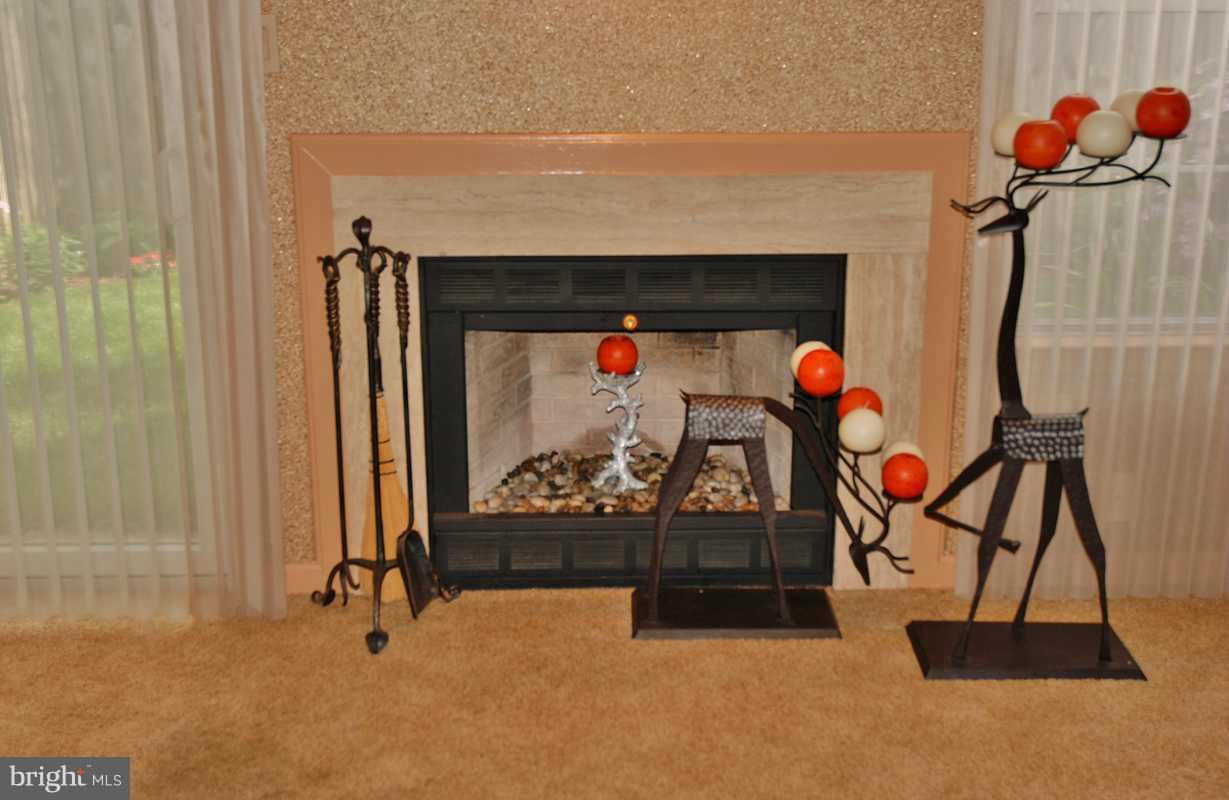 36 Dawn View Court Silver Spring, MD 20904 - Photo 19 of 27 Family Room