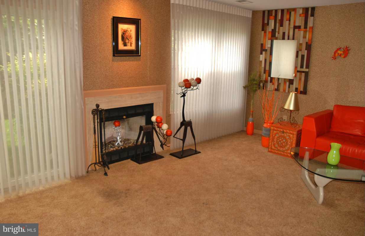 36 Dawn View Court Silver Spring, MD 20904 - Photo 21 of 27 Basement