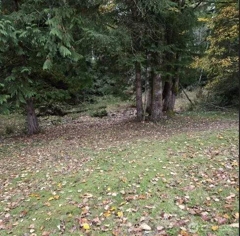 a view of a yard with a tree