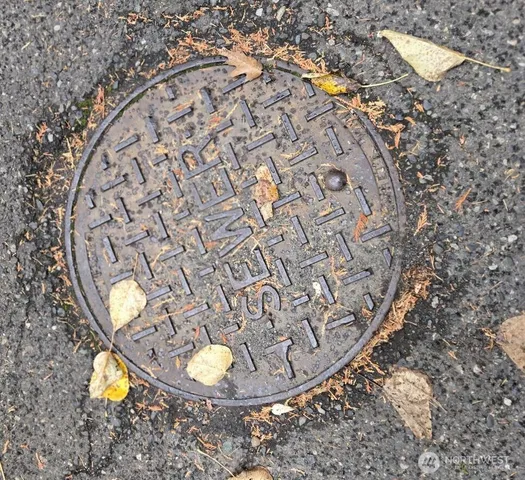 a view of a backyard with street