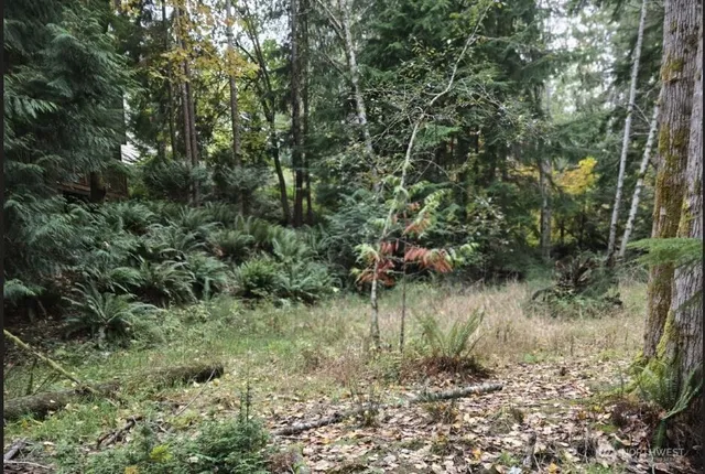 a view of a lake with a tree