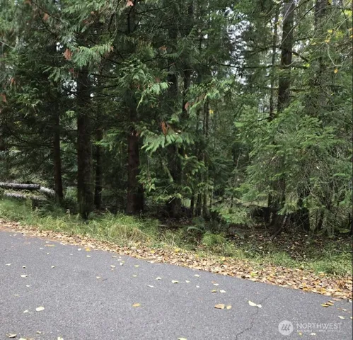 a view of outdoor space and yard